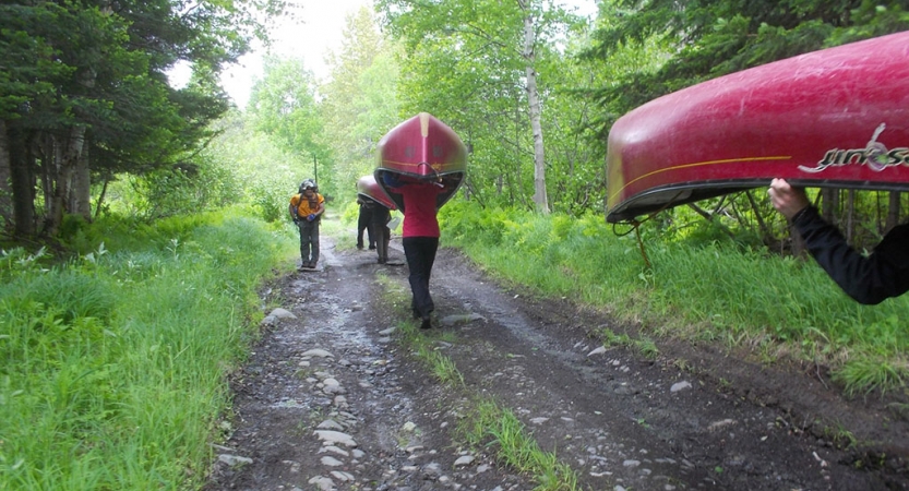 A group of people carry canoes overhead along a trail through a green area